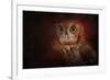 Halloween Owl-Jai Johnson-Framed Giclee Print