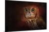 Halloween Owl-Jai Johnson-Mounted Giclee Print