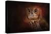 Halloween Owl-Jai Johnson-Stretched Canvas