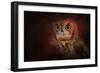 Halloween Owl-Jai Johnson-Framed Giclee Print