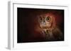 Halloween Owl-Jai Johnson-Framed Giclee Print