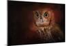 Halloween Owl-Jai Johnson-Mounted Giclee Print