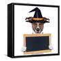 Halloween Placeholder Banner Dog-Javier Brosch-Framed Stretched Canvas
