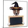 Halloween Placeholder Banner Dog-Javier Brosch-Mounted Photographic Print