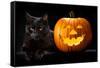 Halloween Pumpkin and Black Cat Scary Spooky and Creepy Horror Holiday Superstition Evil Animal And-kikkerdirk-Framed Stretched Canvas