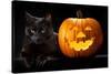 Halloween Pumpkin and Black Cat Scary Spooky and Creepy Horror Holiday Superstition Evil Animal And-kikkerdirk-Stretched Canvas