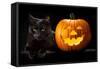 Halloween Pumpkin and Black Cat Scary Spooky and Creepy Horror Holiday Superstition Evil Animal And-kikkerdirk-Framed Stretched Canvas