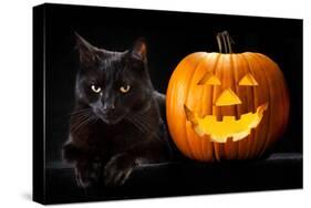 Halloween Pumpkin and Black Cat Scary Spooky and Creepy Horror Holiday Superstition Evil Animal And-kikkerdirk-Stretched Canvas
