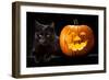 Halloween Pumpkin and Black Cat Scary Spooky and Creepy Horror Holiday Superstition Evil Animal And-kikkerdirk-Framed Photographic Print