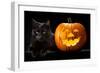 Halloween Pumpkin and Black Cat Scary Spooky and Creepy Horror Holiday Superstition Evil Animal And-kikkerdirk-Framed Photographic Print