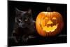 Halloween Pumpkin and Black Cat Scary Spooky and Creepy Horror Holiday Superstition Evil Animal And-kikkerdirk-Mounted Photographic Print