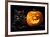 Halloween Pumpkin and Black Cat Scary Spooky and Creepy Horror Holiday Superstition Evil Animal And-kikkerdirk-Framed Photographic Print