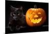 Halloween Pumpkin and Black Cat Scary Spooky and Creepy Horror Holiday Superstition Evil Animal And-kikkerdirk-Mounted Photographic Print