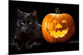 Halloween Pumpkin and Black Cat Scary Spooky and Creepy Horror Holiday Superstition Evil Animal And-kikkerdirk-Mounted Photographic Print