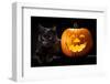 Halloween Pumpkin and Black Cat Scary Spooky and Creepy Horror Holiday Superstition Evil Animal And-kikkerdirk-Framed Photographic Print