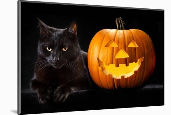 Halloween Pumpkin and Black Cat Scary Spooky and Creepy Horror Holiday Superstition Evil Animal And-kikkerdirk-Mounted Photographic Print