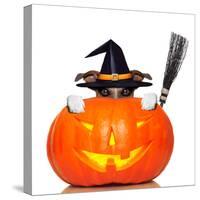 Halloween Pumpkin Witch Dog-Javier Brosch-Stretched Canvas