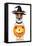 Halloween Pumpkin Witch Dog-Javier Brosch-Framed Stretched Canvas