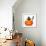 Halloween Pumpkin Witch Dog-Javier Brosch-Framed Photographic Print displayed on a wall