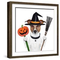 Halloween Pumpkin Witch Dog-Javier Brosch-Framed Photographic Print