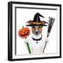 Halloween Pumpkin Witch Dog-Javier Brosch-Framed Photographic Print