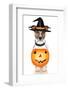 Halloween Pumpkin Witch Dog-Javier Brosch-Framed Photographic Print