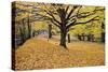 Halloween Scenic, New Jersey-George Oze-Stretched Canvas