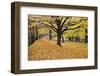 Halloween Scenic, New Jersey-George Oze-Framed Photographic Print