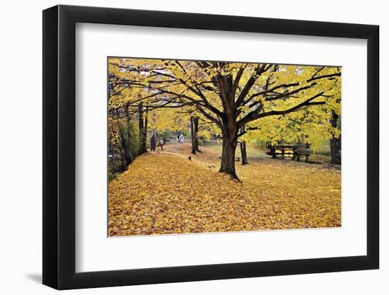 Halloween Scenic, New Jersey-George Oze-Framed Photographic Print