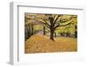 Halloween Scenic, New Jersey-George Oze-Framed Photographic Print