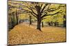 Halloween Scenic, New Jersey-George Oze-Mounted Photographic Print