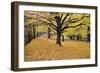 Halloween Scenic, New Jersey-George Oze-Framed Photographic Print