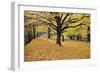 Halloween Scenic, New Jersey-George Oze-Framed Photographic Print