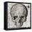 Halloween Skull-Color Bakery-Framed Stretched Canvas