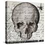 Halloween Skull-Color Bakery-Stretched Canvas