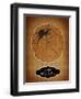 Halloween Spider-J Hovenstine Studios-Framed Premium Giclee Print