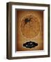 Halloween Spider-J Hovenstine Studios-Framed Giclee Print