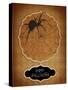 Halloween Spider-J Hovenstine Studios-Stretched Canvas