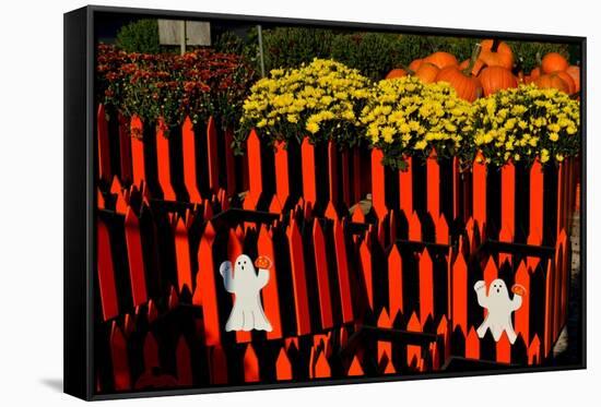 Halloween-Anthony Butera-Framed Stretched Canvas