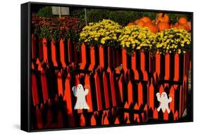 Halloween-Anthony Butera-Framed Stretched Canvas