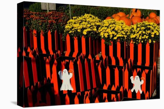 Halloween-Anthony Butera-Stretched Canvas