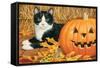 Halloween-William Vanderdasson-Framed Stretched Canvas