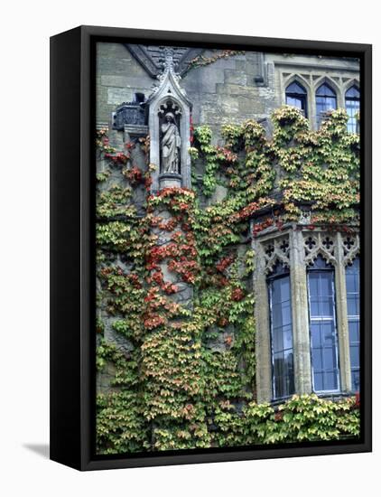 Halls of Ivy, Oxford University, England-Bill Bachmann-Framed Stretched Canvas