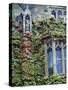 Halls of Ivy, Oxford University, England-Bill Bachmann-Stretched Canvas