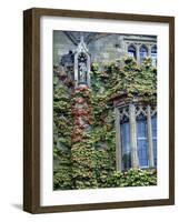 Halls of Ivy, Oxford University, England-Bill Bachmann-Framed Photographic Print