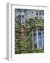 Halls of Ivy, Oxford University, England-Bill Bachmann-Framed Photographic Print