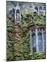 Halls of Ivy, Oxford University, England-Bill Bachmann-Mounted Photographic Print