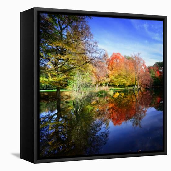 Hallucination Fall-Philippe Sainte-Laudy-Framed Stretched Canvas