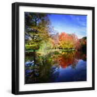 Hallucination Fall-Philippe Sainte-Laudy-Framed Premium Photographic Print