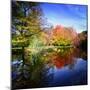 Hallucination Fall-Philippe Sainte-Laudy-Mounted Premium Photographic Print